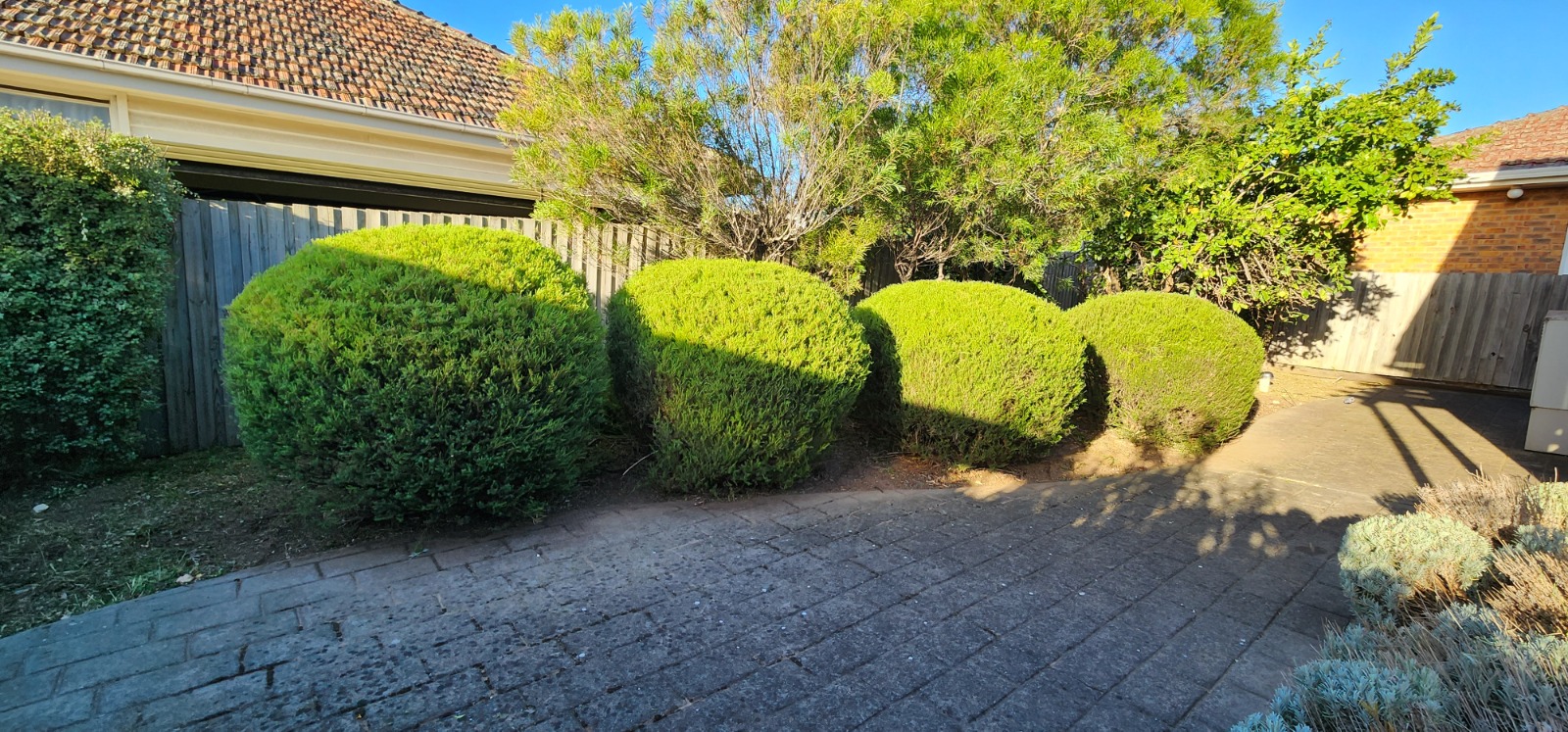 Garden transformation